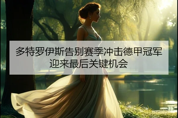 多特罗伊斯告别赛季冲击德甲冠军迎来最后关键机会